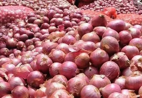 onions4
