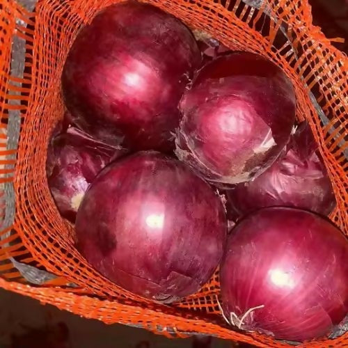 redonion3