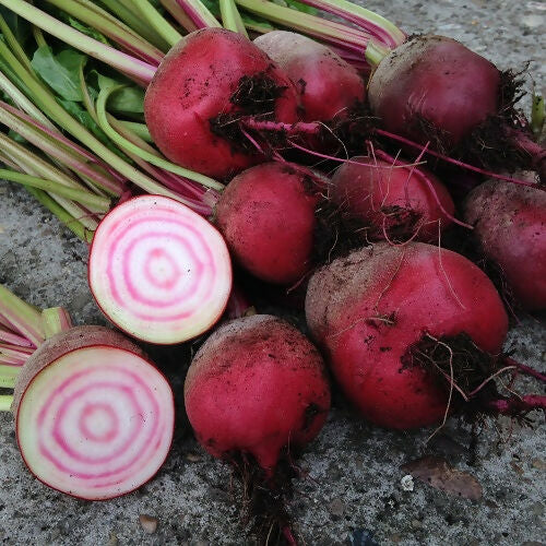 Beetroot Choggia