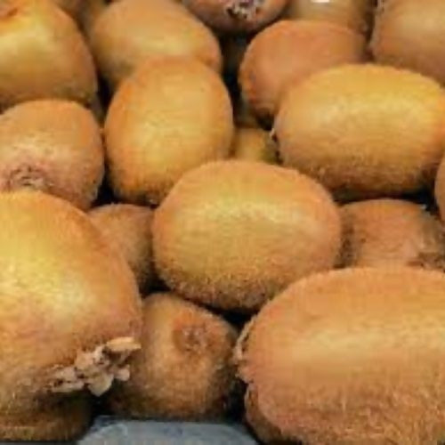 irankiwi4