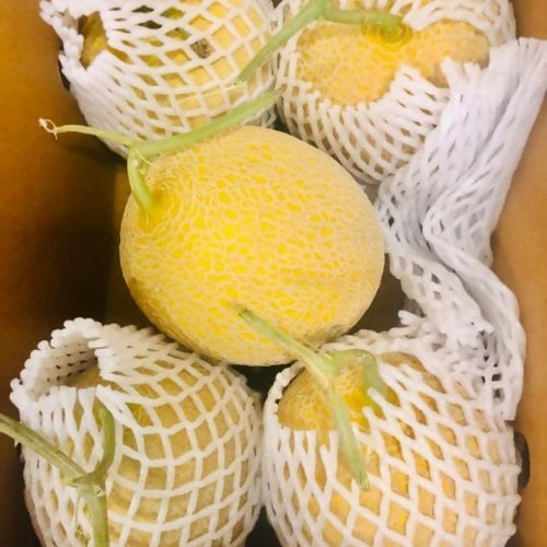 sweetmelon2