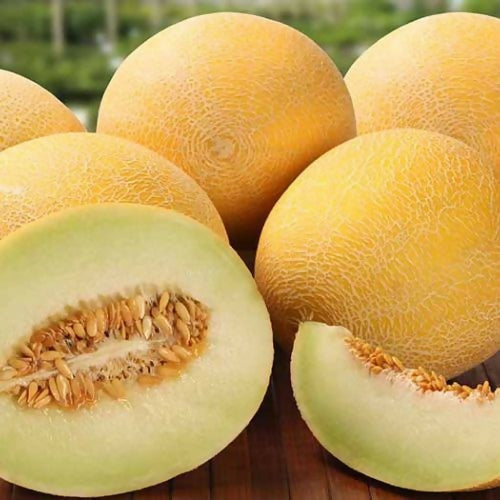 sweetmelon6