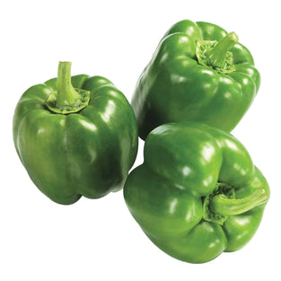 Fresh Iranian Green Capsicum - الفليفلة الخضراء الإيرانية الطازجة Fresh Iranian Green Capsicum - الفليفلة الخضراء الإيرانية الطازجة