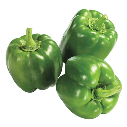 Fresh Iranian Green Capsicum - الفليفلة الخضراء الإيرانية الطازجة Fresh Iranian Green Capsicum - الفليفلة الخضراء الإيرانية الطازجة