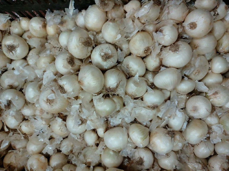 prod-20200508-1308332337066125453975560-jpg