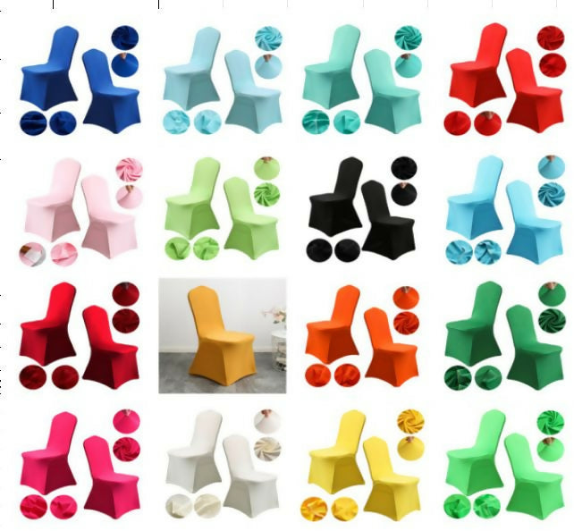 WhatsAppImage2024-04-01at12.23.11PM