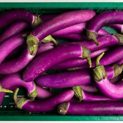 eggplantlong3