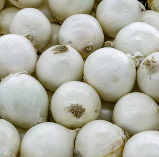 Fresh Iranian White Onion 1 kg. بصل أبيض إيراني طازج 1 كجم