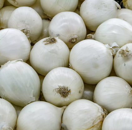 Fresh Iranian White Onion 1 kg. بصل أبيض إيراني طازج 1 كجم