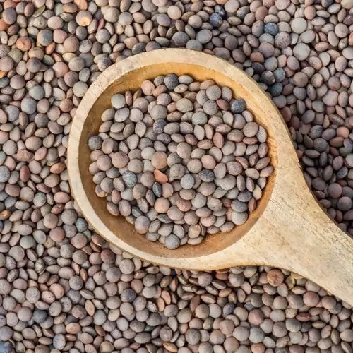 malka-masoor-dal-500x500