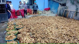 Chineese Ginger Wholesales 1kg. زنجبيل بالجملة 1 كيلو