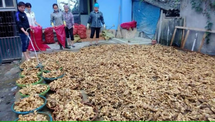 Chineese Ginger Wholesales 1kg. زنجبيل بالجملة 1 كيلو