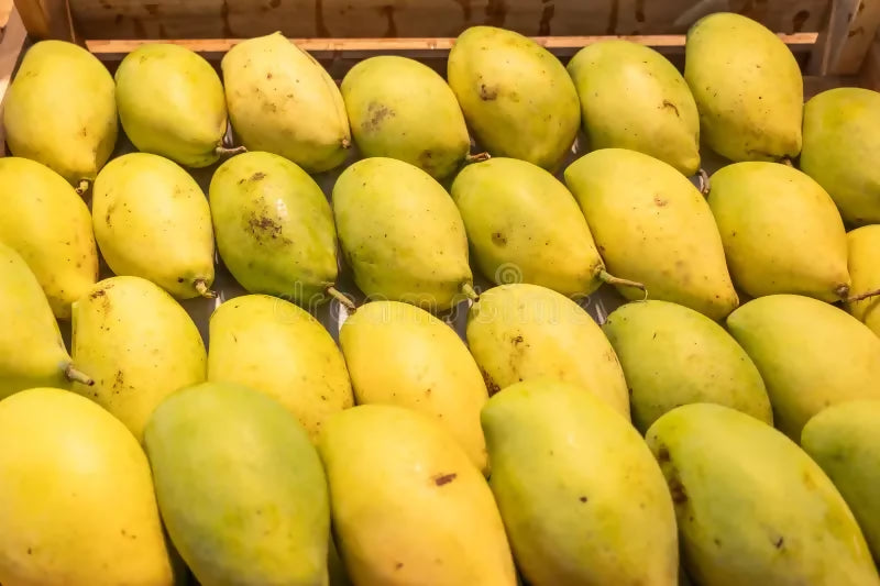 mango6