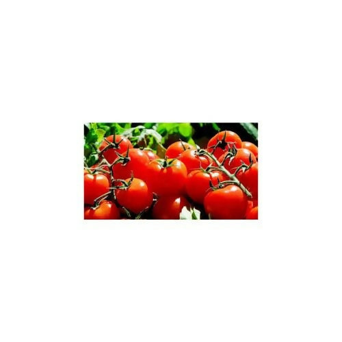 totomato