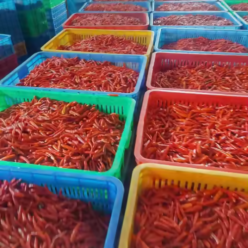 chillired3