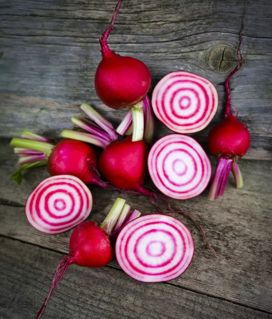 rsz_beetroot_chioggia_lah_cover_crop__dsf2870