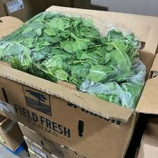 spinach4