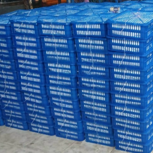 mangobulk