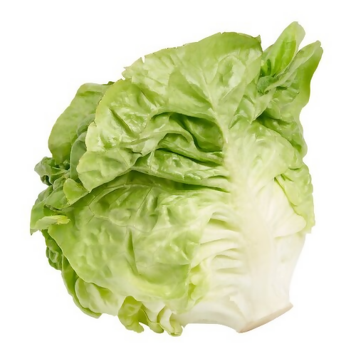 lettuce2
