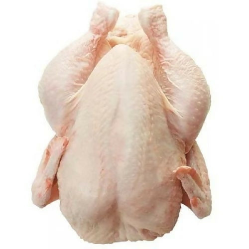 frozenchik