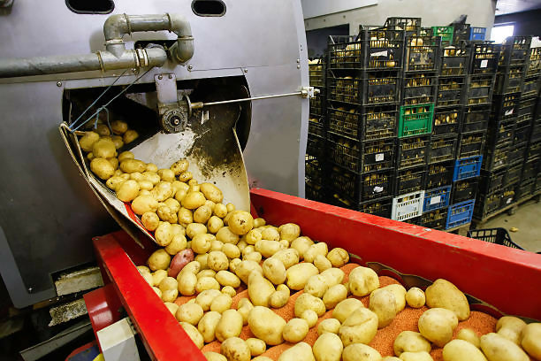 potatofactory2
