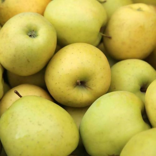 apple2