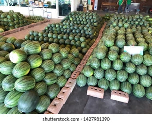 Watermelon Iran Wholesales 1Kg. بطيخ إيراني جملة 1 كيلو