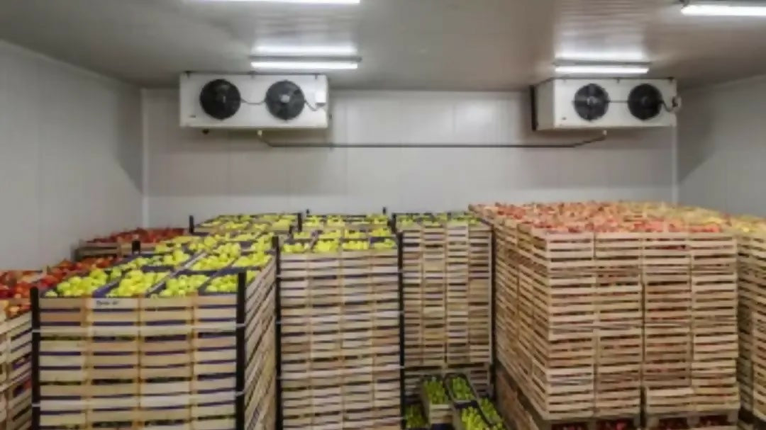 lemonstorage