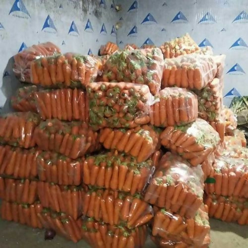 carrotyt