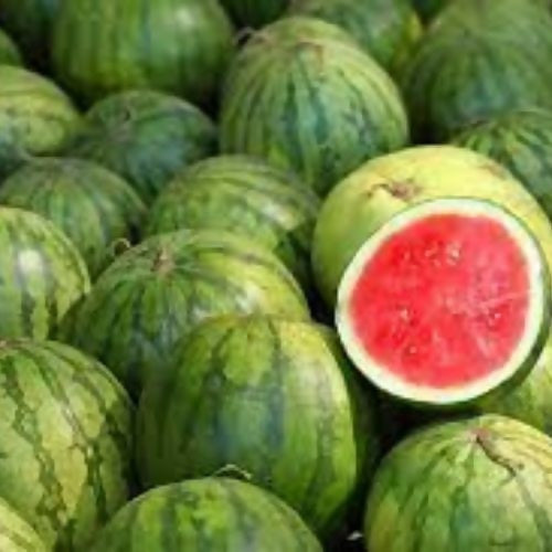 watermelon2