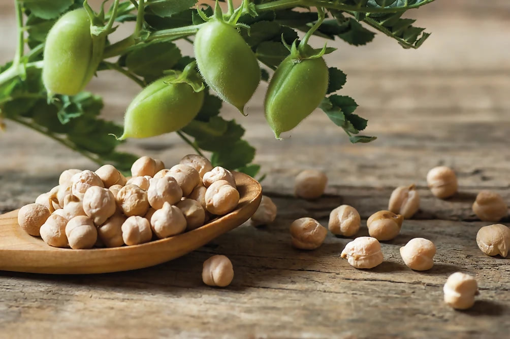 60120_Chickpea