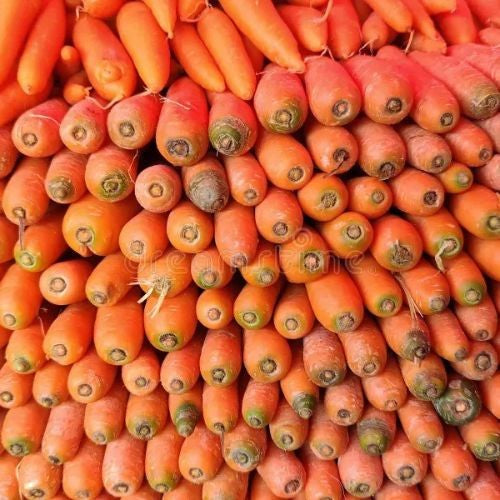 Fresh Omani Carrot Available in 8kg Carton Box. جزر عماني طازج. متوفر في كرتون 8 كيلو