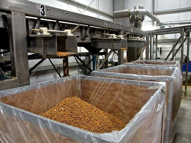 Chikpeas seeds