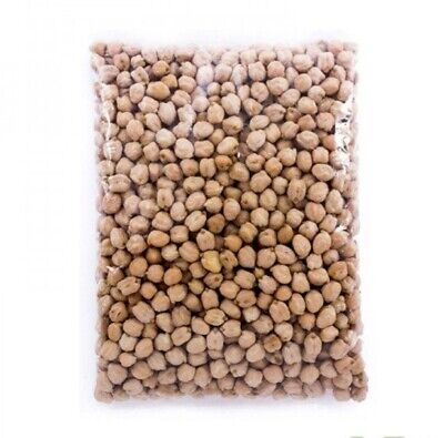 Chikpeas seeds