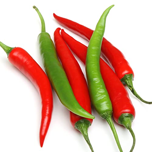 Indian Green Chilli Pepper Wholesales 1kg. فلفل الهند حار أخضر بالجملة 1 كيلو