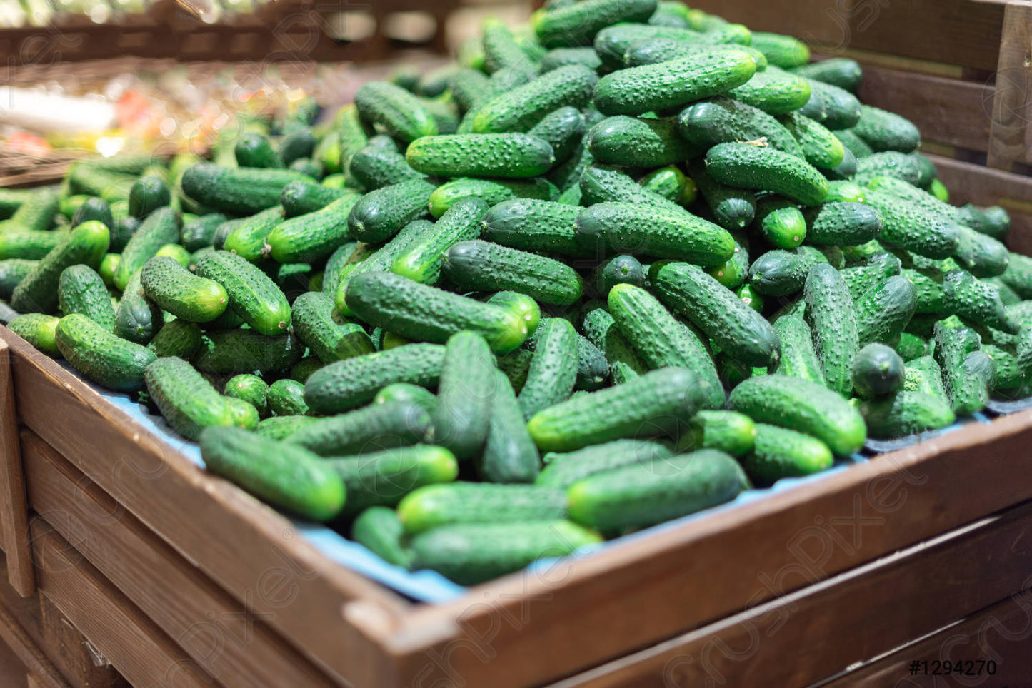 Fresh Cucumber is availbale for sale and delivery in large quantity