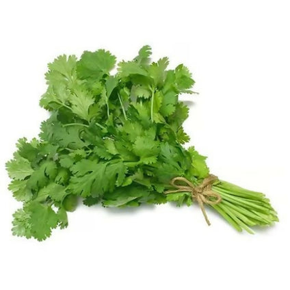 Omani Coriander Leafs Wholesales 1kg. كزبرة عمانية بالجملة 1 كيلو Omani Coriander Leafs Wholesales 1kg. كزبرة عمانية بالجملة 1 كيلو