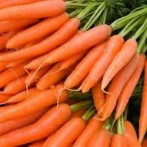 carrot7