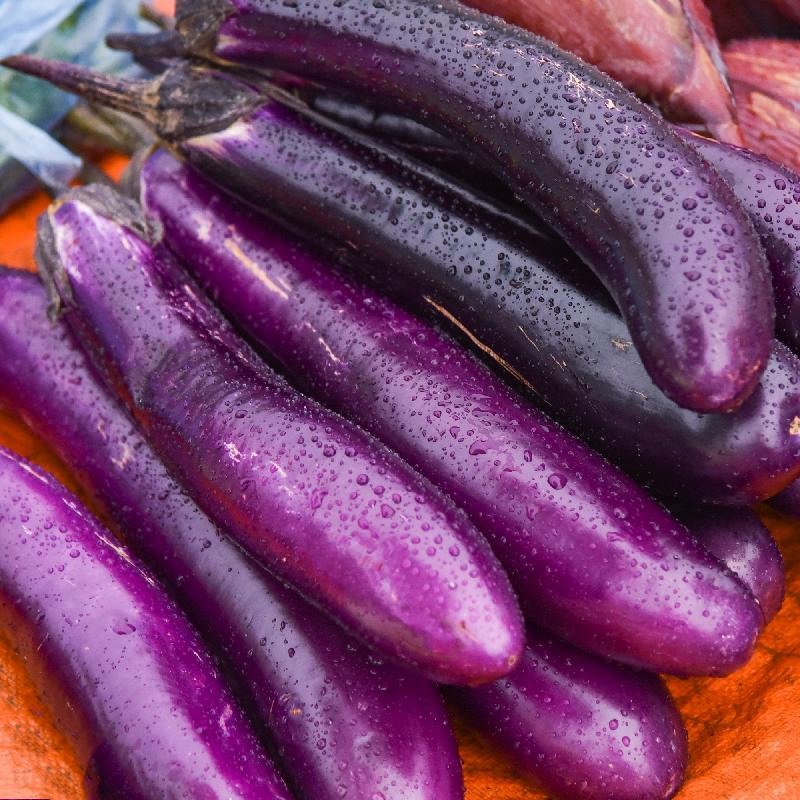 Egg plant Iran Wholesales 1kg. باذنجان إيراني بالجملة 1 كيلو