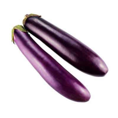 Fresh Eggplant Long Size at wholesales price