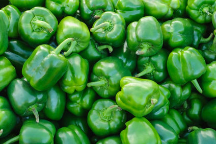 Fresh Iranian Green Capsicum - الفليفلة الخضراء الإيرانية الطازجة
