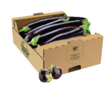 eggpcarton
