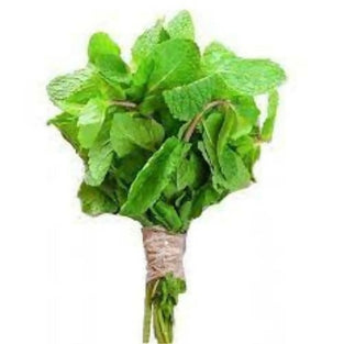 Fresh Mint Leafs Wholesales 1kg. أوراق نعناع طازجة للبيع بالجملة 1 كجم Fresh Mint Leafs Wholesales 1kg. أوراق نعناع طازجة للبيع بالجملة 1 كجم