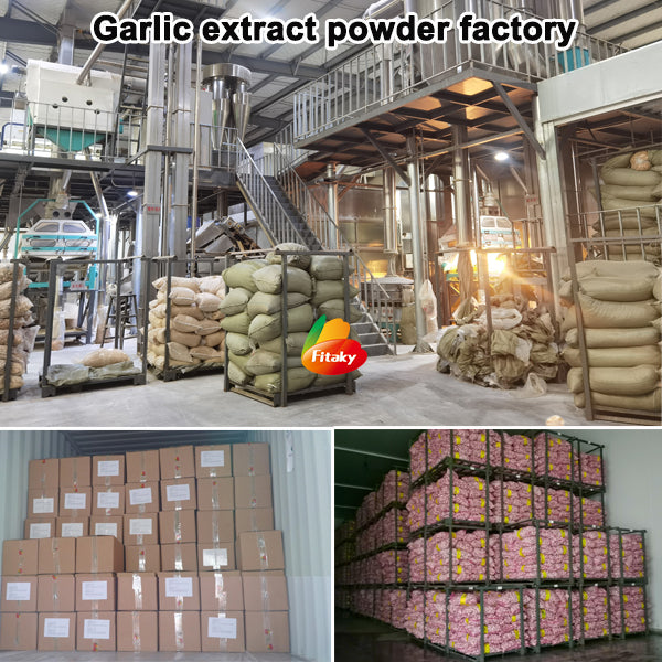 Garlic Powder - 1 kg