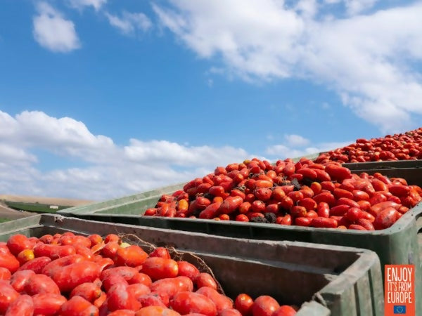 tomatoeload