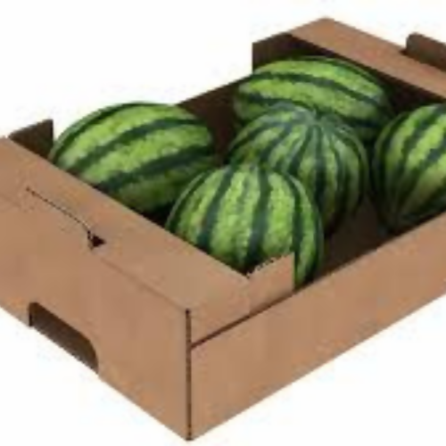 watermelon5