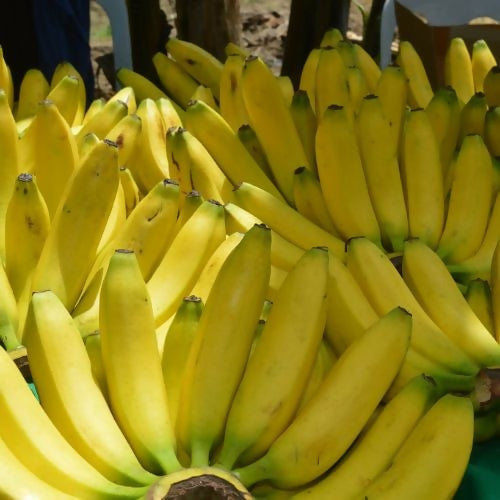 banana1