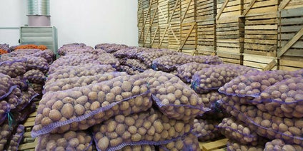 Potatoes Pakistan Wholesales 1kg. بطاطس إيراني جملة 1 كيلو