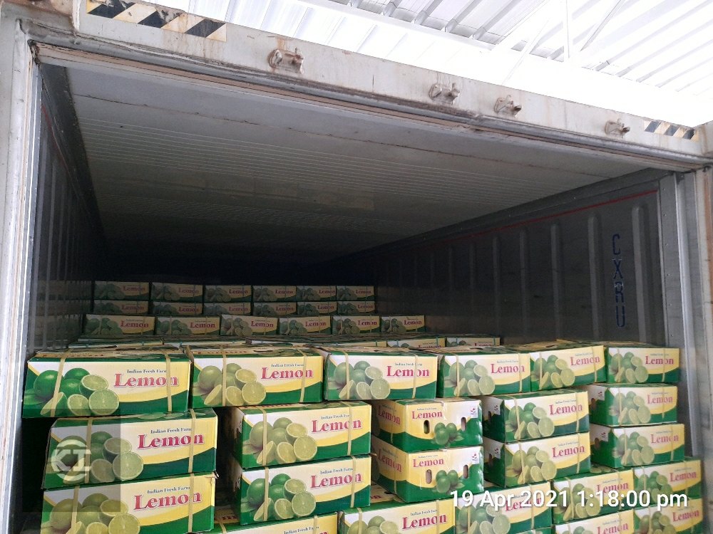 Fresh Lemon fruit is available in large quantities