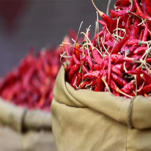 chillisack